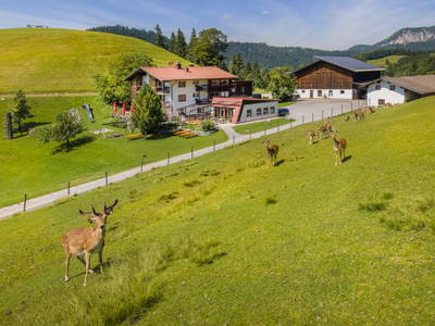 Bild 133 aus  Bachrain - Bio am Berg 