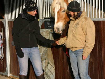 Bild 27 aus  Schaglhof