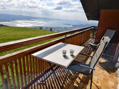 Bild 90 aus  SOHLERHOF mit fantastischem BODENSEE-BLICK