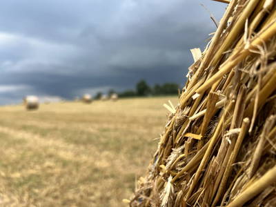 Bild 25 aus  Privatzimmer Burgpanorama