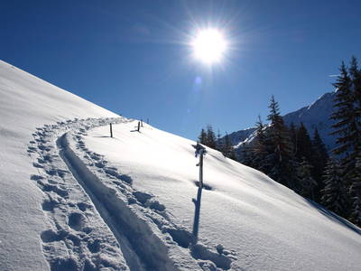 Bild 68 aus  Hartlhof Urlaub am Baby- und Kinderbauernhof