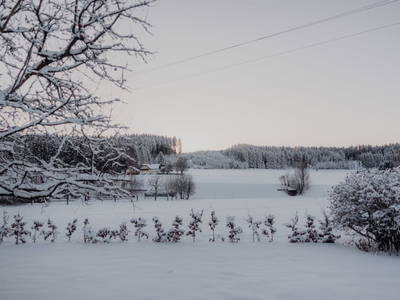 Bild 36 aus  Aicherhof