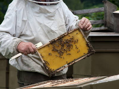 Bild 88 aus  Poscharnighof