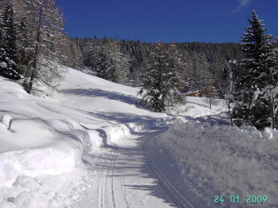 Bild 24 aus  Almhütte Hueber