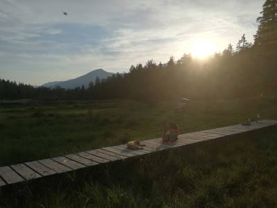 Bild 113 aus Riatschhof