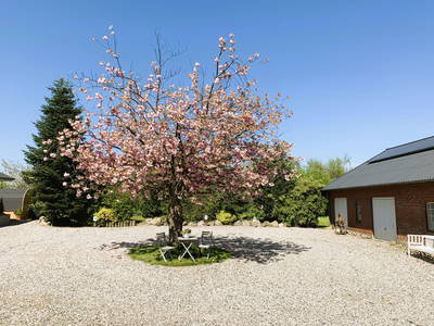 Bild 6 aus  Landhaus Scholz