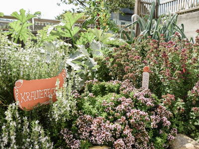 Bild 11 aus  Ferienhaus Gegg vlg. Pauritschmichl