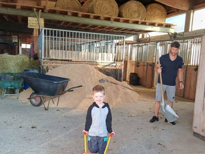 Bild 108 aus  Reiterhof Pfleger