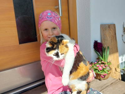 Bild 31 aus  Wangarhof