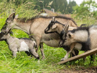 Bild 180 aus  Winzerhof Strablegg