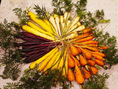 Bild 32 aus  Ferienhaus Weinmeyer 