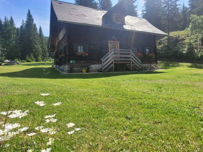 Bild 30 aus  Fuggerhütte - Flattnitz