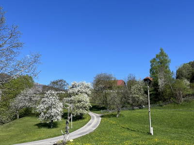 Bild 21 aus  Pirkerhof