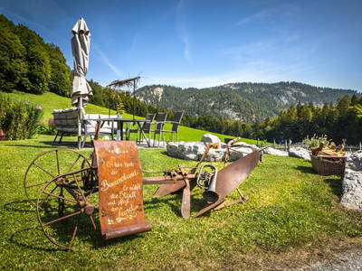 Bild 9 aus  Bambichl Hoamat