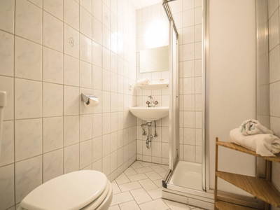 Bild 61 aus  Alfaierhof & Bergheimat