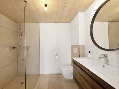 Bild 16 aus  UNSER VORSÄSS - Geisskopf