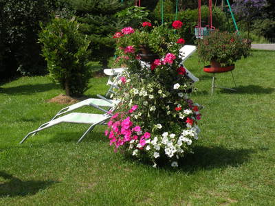 Bild 37 aus  Kollmannbauer