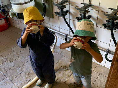 Bild 22 aus  Prädastenhof