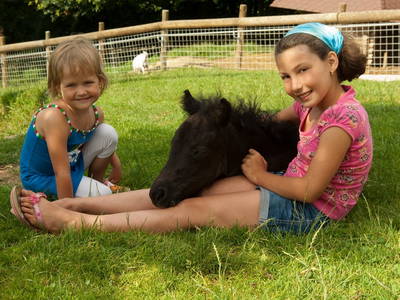 Bild 12 aus Familienhotel Hochrieß