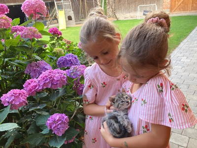 Bild 6 aus  Bauernhof Dissauer Fam. Rosinger