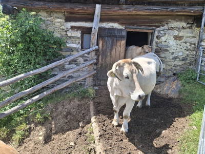 Bild 68 aus  Hudax Hütte