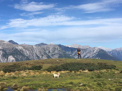 Bild 19 aus  Landhaus Zangerl - Kobelerhof