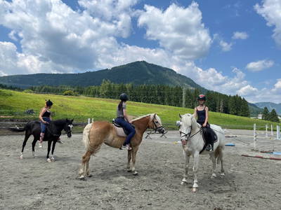 Bild 188 aus  Kuchlbauer