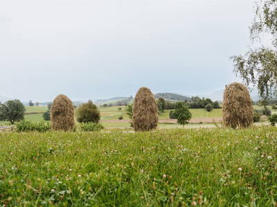 Bild 111 aus  Almenlandhof