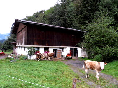 Bild 3 aus Appartement Glashütte
