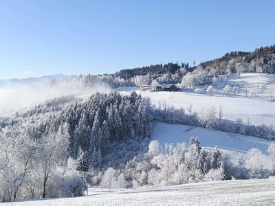 Bild 46 aus  Bio Bauernhof Kräuter