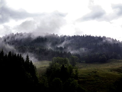 Bild 207 aus Arlitscherhof