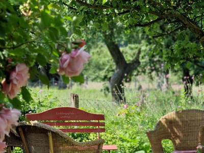 Bild 10 aus  Hof Alte Zeiten