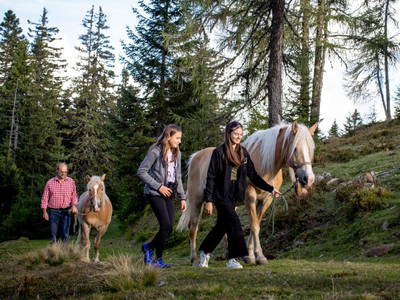 Bild 213 aus  Bischofhütten