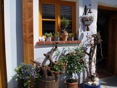 Bild 18 aus  Radlerhof Kienesberger