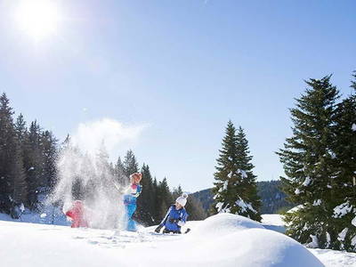 Bild 56 aus  Steinerhof