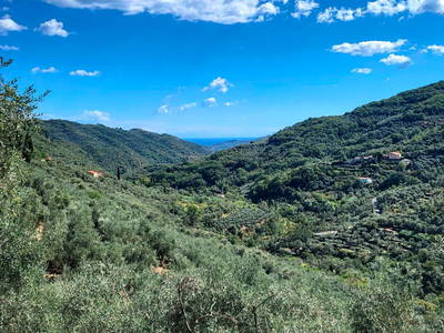 Bild 5 aus  Oliva Azzurra Appartamento