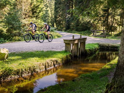 Bild 75 aus  Gut Pecketsberg