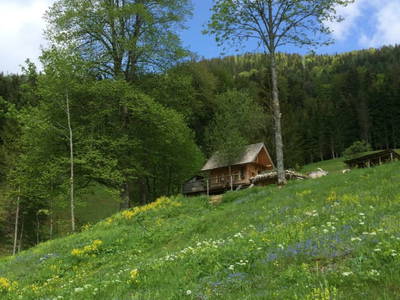 Bild 58 aus  Holzknechthütte