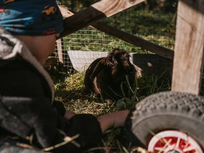 Bild 16 aus  Gasperhof