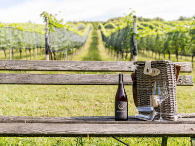 Bild 5 aus  Monschein Demeterweingut