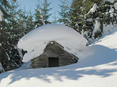 Bild 52 aus  Taxengut