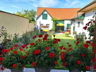 Bild 14 aus  Ferienhaus Weinviertel