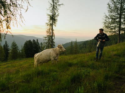 Bild 36 aus  Glatz Hof