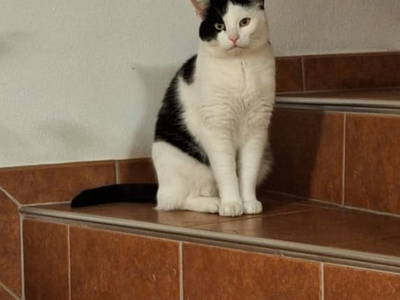 Bild 17 aus  Ferienwohnung Hoamatgefühl