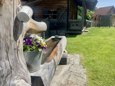 Bild 140 aus  Heisshof 