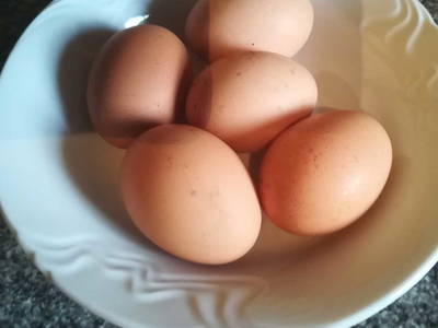 Bild 94 aus  Tobadillerhof Kinderbauernhof Pitztal Tirol