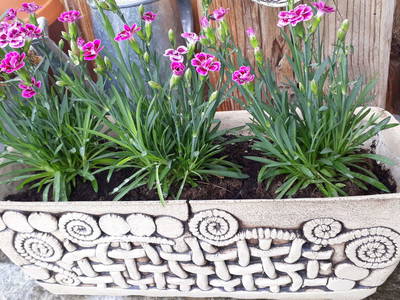 Bild 64 aus  Erlachhof