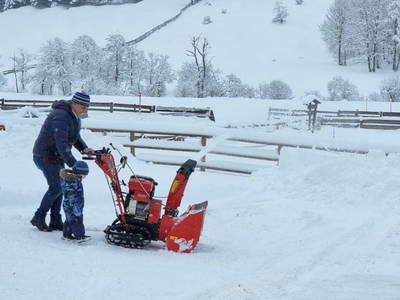 Bild 154 aus  Alfaierhof & Bergheimat