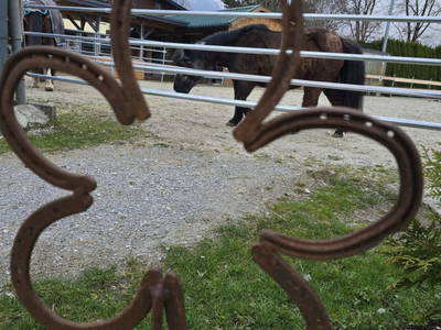 Bild 63 aus  Santnergut