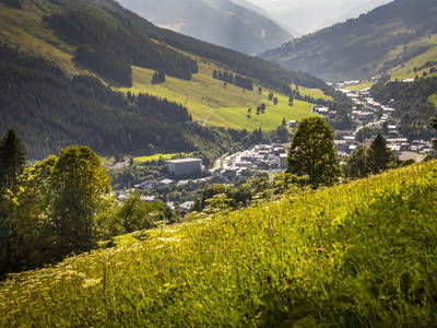 Bild 53 aus  Lienbichl